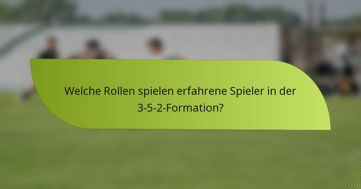 Welche Rollen spielen erfahrene Spieler in der 3-5-2-Formation?